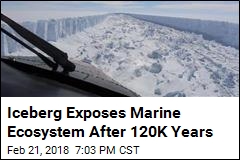 Iceberg Exposes Marine Ecosystem After 120K Years