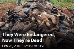 They Were Endangered, Now They&#39;re Dead