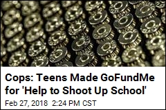 Cops: Teens Made GoFundMe for &#39;Help to Shoot Up School&#39;
