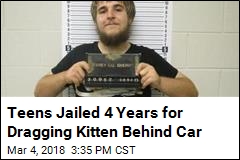 Men Get Jail Time for Dragging Kitten Behind Jeep