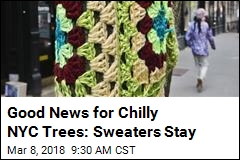 Good News for Chilly NYC Trees: Sweaters Stay