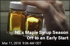NE&#39;s Maple Syrup Season Off to an Early Start