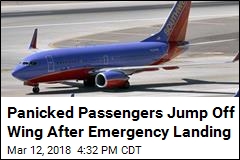 Frantic Passengers Jump Off Wing After Emergency Landing