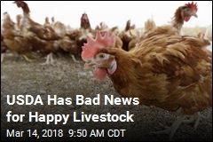 USDA Has Bad News for Happy Livestock