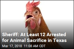 Sheriff: At Least 12 Arrested for Animal Sacrifice in Texas