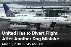 United Has Yet Another Gaffe Involving a Dog