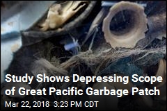 Great Pacific Garbage Patch Is Getting More Massive