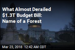 Congress OKs $1.3T Budget Bill