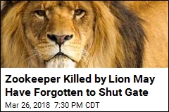 Mexican Zookeeper Killed by Lion Forgot to Shut Gate