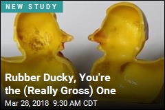 Yucky Ducky? Kids&#39; Bath Toy Has a Dirty Secret