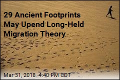 29 Ancient Footprints Found Along Pacific Coast