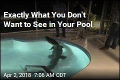 Exactly What You Don&#39;t Want to See in Your Pool