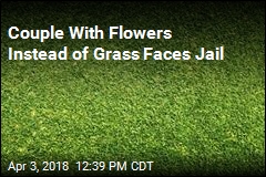 Missouri Couple Face Jail for Planting Flowers, Not Grass, in Yard