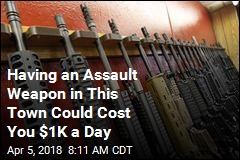 Having an Assault Weapon in This Town Could Cost You $1K a Day
