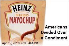 Americans Divided Over a Condiment