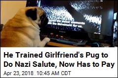 Man Fined for Viral Video of Pug Giving Nazi Salute