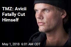 Report Has New Details on Avicii&#39;s Death