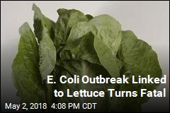E. Coli Outbreak Linked to Lettuce Turns Fatal