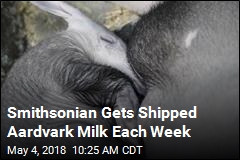 Smithsonian Gets Shipped Aardvark Milk Each Week