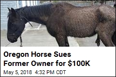 Neglected Horse Sues Former Owner for $100K