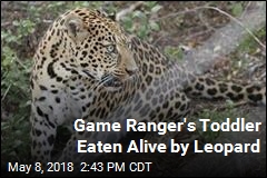 Leopard Eats Toddler Alive in Uganda