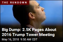 Big Dump: 2.5K Pages About 2016 Trump Tower Meeting