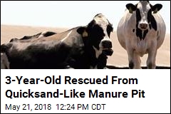 &#39;Kind of Like Quicksand:&#39; Boy Saved From Manure Pit