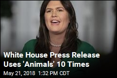 White House Press Release Uses &#39;Animals&#39; 10 Times