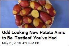 Odd Looking New Potato Aims to Be &#39;Tastiest&#39; You&#39;ve Had