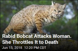Rabid Bobcat Attacks Woman. She Throttles It to Death