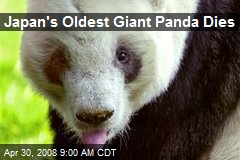 Japan's Oldest Giant Panda Dies