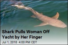 Shark Pulls Woman Into Sea by Her Finger