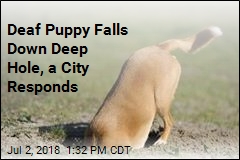 Deaf Puppy Falls Down Deep Hole, a City Responds
