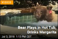 Bear Takes Dip in Hot Tub, Drinks Guy&#39;s Margarita