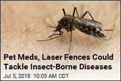 Pet Meds, Laser Fences Could Tackle Insect-Borne Diseases