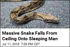 6-Foot Boa Constrictor Falls From Ceiling Onto Sleeping Man