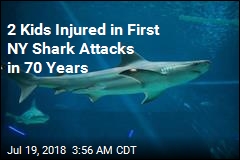2 Kids Bitten in Suspected Long Island Shark Attacks