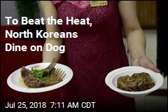 To Beat the Heat, North Koreans Dine on Dog