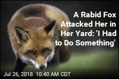 A Rabid Fox Attacked Her in Her Yard: &#39;I Had to Do Something&#39;