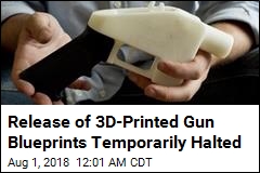 Judge Blocks Release of 3D-Printed Gun Blueprints