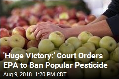 Court Orders EPA to Reverse Course, Ban Pesticide