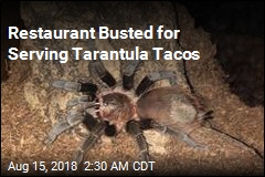 Restaurant Busted for Serving Tarantula Tacos