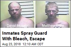 Kentucky Inmates Injure Staff, Escape