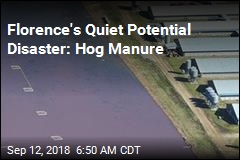 Florence&#39;s Quiet Potential Disaster: Hog Manure
