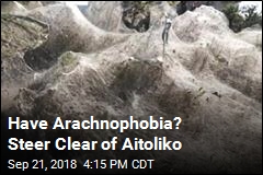 Have Arachnophobia? Steer Clear of Aitoliko