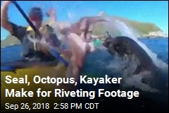 Man Brings GoPro to an Octopus Fight