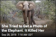 She Tried to Get a Photo of the Elephant. It Killed Her