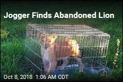 Dutch Jogger Finds Lion Cub