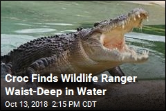 Croc Kills Wildlife Ranger