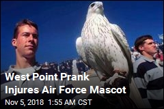 West Point Prank Injures Air Force Mascot